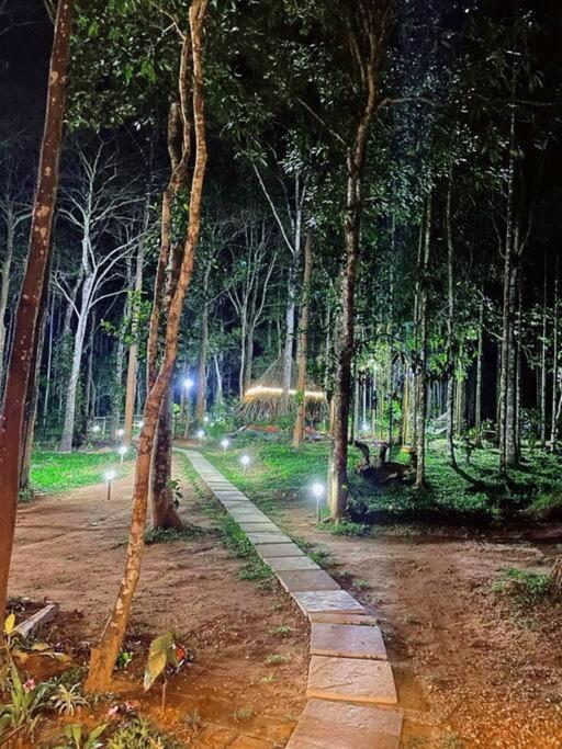 Tall Trees - Modern Forest Villa In Wayanad Sultan Bathery Eksteriør bilde