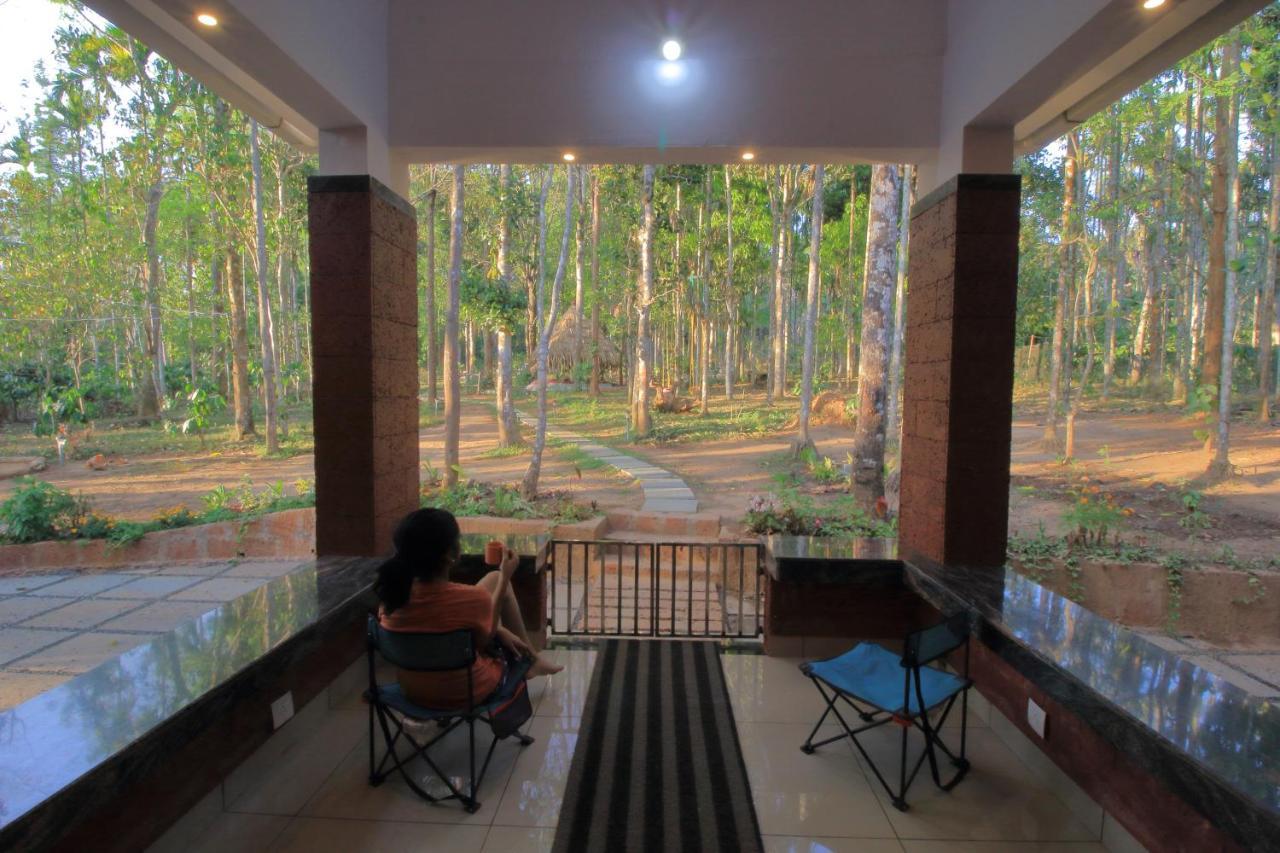 Tall Trees - Modern Forest Villa In Wayanad Sultan Bathery Eksteriør bilde