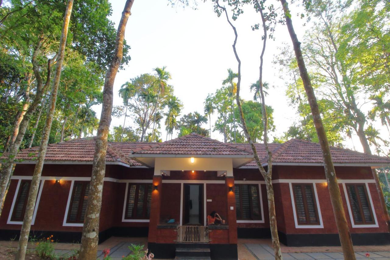 Tall Trees - Modern Forest Villa In Wayanad Sultan Bathery Eksteriør bilde