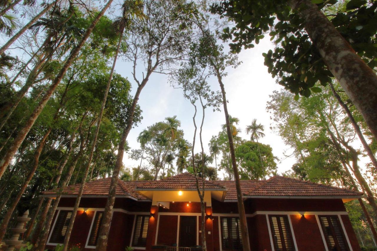Tall Trees - Modern Forest Villa In Wayanad Sultan Bathery Eksteriør bilde