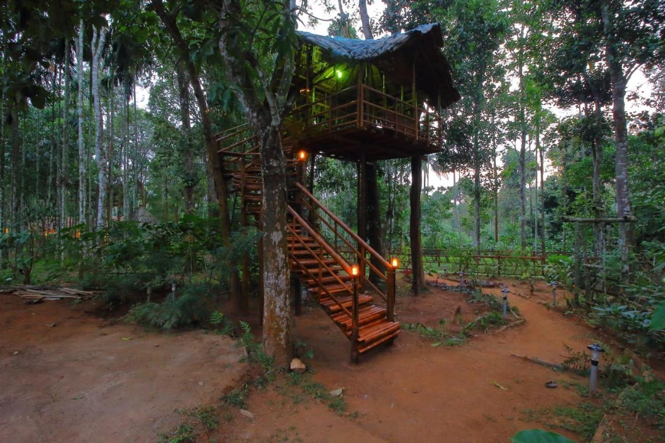 Tall Trees - Modern Forest Villa In Wayanad Sultan Bathery Eksteriør bilde