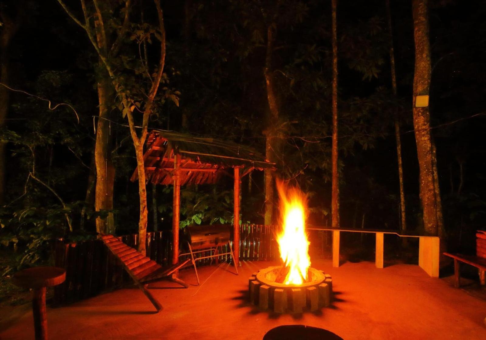 Tall Trees - Modern Forest Villa In Wayanad Sultan Bathery Eksteriør bilde