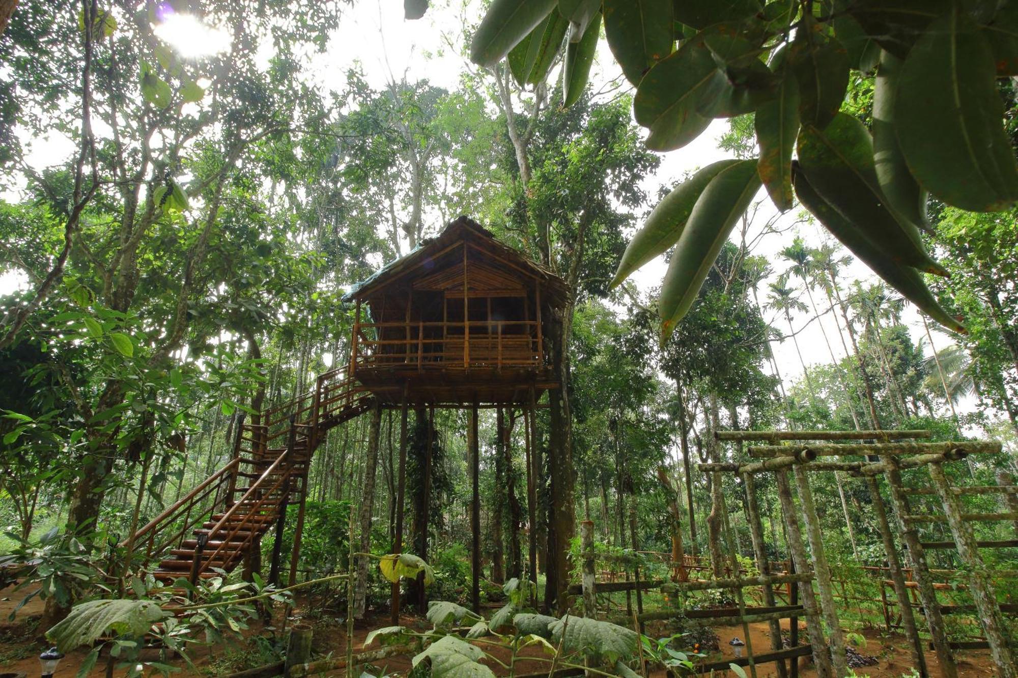 Tall Trees - Modern Forest Villa In Wayanad Sultan Bathery Eksteriør bilde