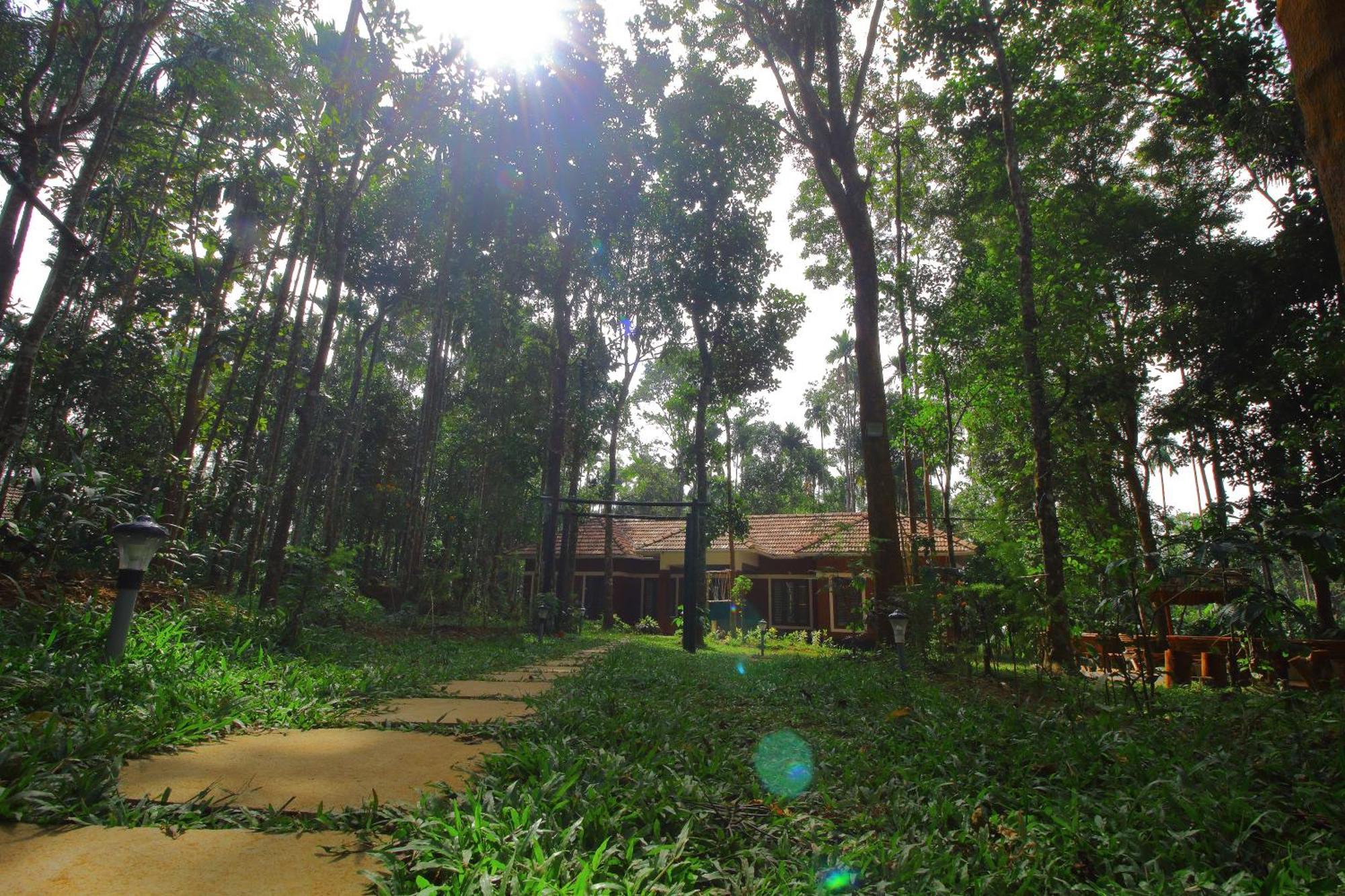 Tall Trees - Modern Forest Villa In Wayanad Sultan Bathery Eksteriør bilde
